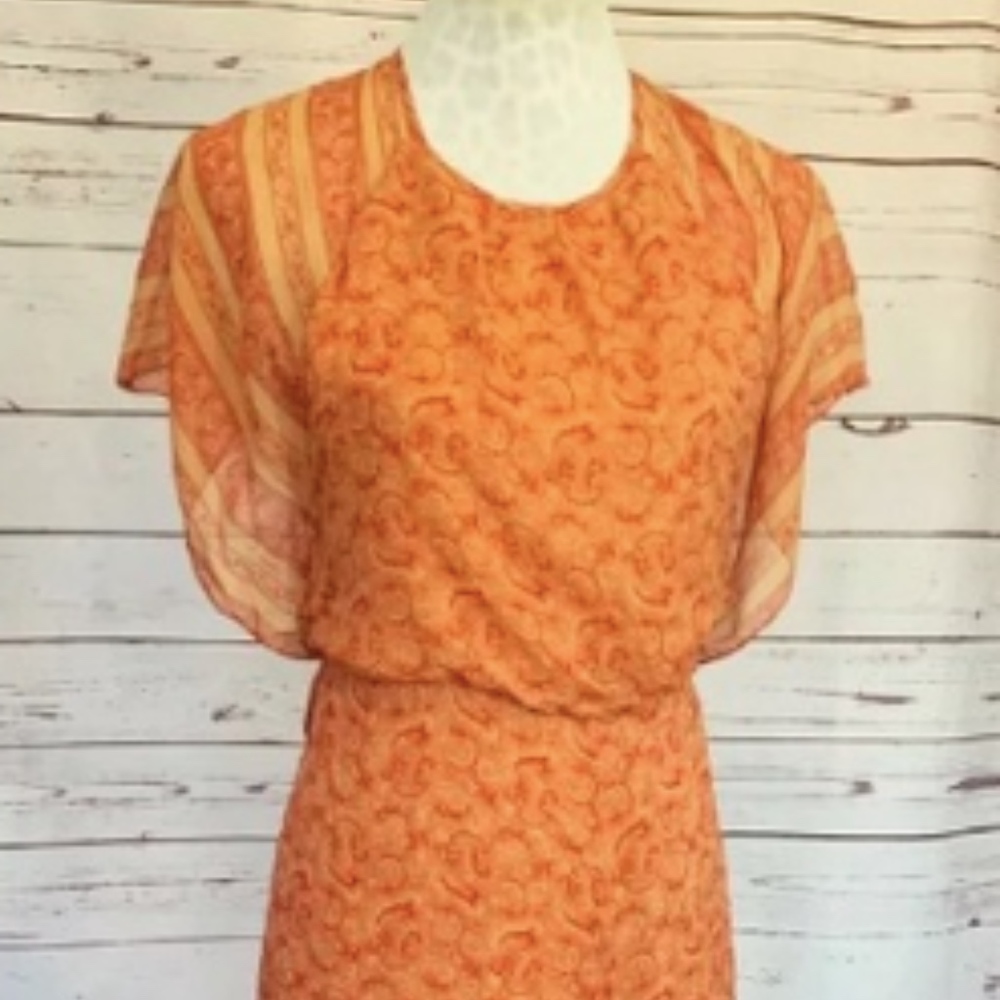 Elizabeth & James Silk Dress